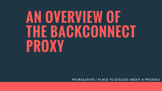 An Overview of the Backconnect Proxy
