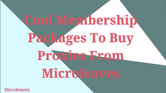 Cool Membership Packages To Buy Proxies From Microleaves