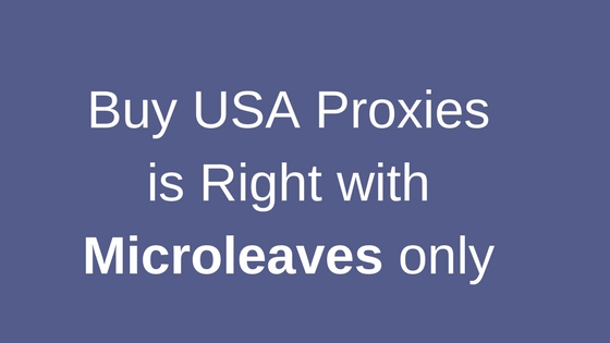 The Decisions to Buy USA Proxies is Right with Microleaves only