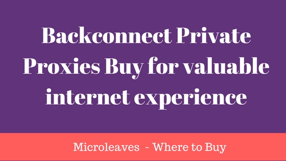 Backconnect Private Proxies Buy for valuable internet experience
