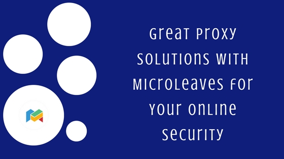 Great Proxy Solutions with Microleaves for Your Online Security