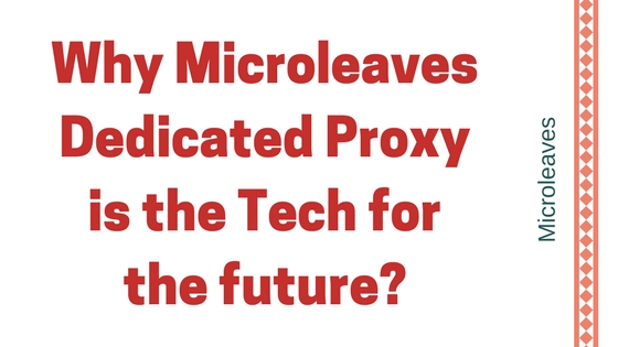 Why Microleaves Dedicated Proxy is the Tech for the future?