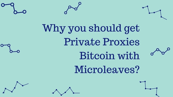 Why you should get Private Proxies Bitcoin with Microleaves?