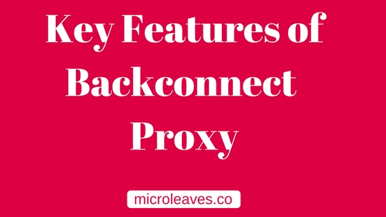 Key Features of Backconnect proxy