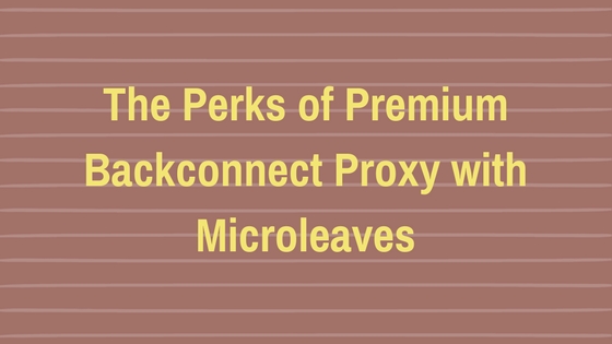 The Perks of Premium Backconnect Proxy with Microleaves