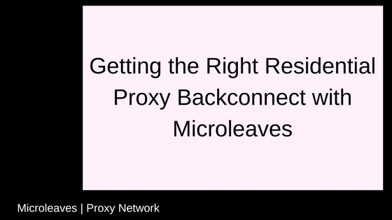 Getting the Right Residential Proxy Backconnect with Microleaves