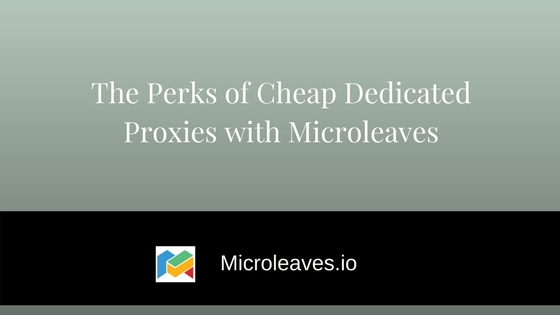 The Perks of Cheap Dedicated Proxies with Microleaves