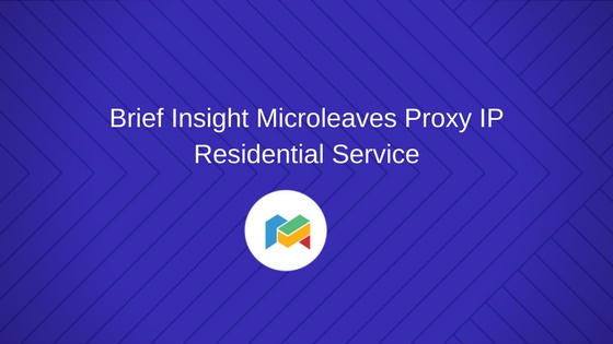 Brief Insight Microleaves Proxy IP Residential Service