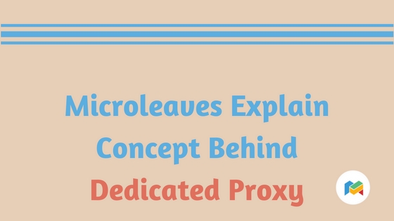 Microleaves Explain Concept Behind Dedicated Proxy