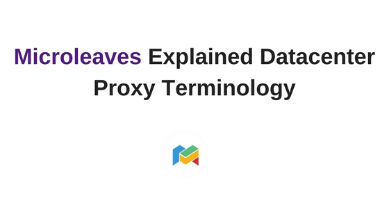 Microleaves Explained Datacenter Proxy Terminology